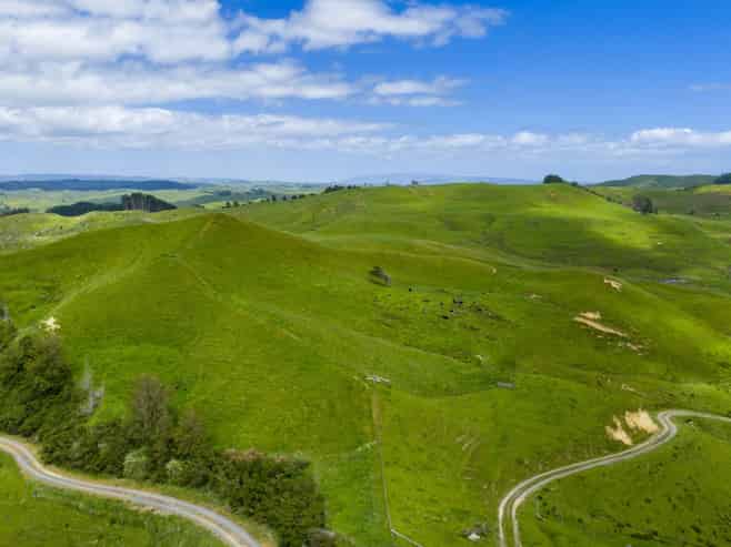  Te Akau Coast Road, Te Akau