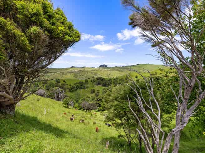  Te Akau Coast Road, Te Akau