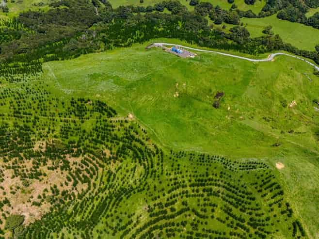 560 Diggers Valley Road, Herekino