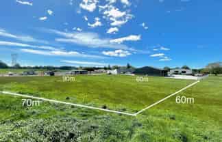 Flexible Yard Options (2,000sqm–20,000sqm)