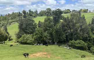 565 Barber Road, Otorohanga