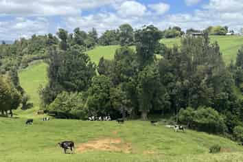 565 Barber Road, Otorohanga