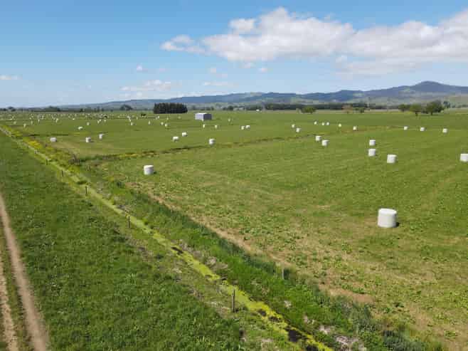 1262 Kaihere Road, Ngatea