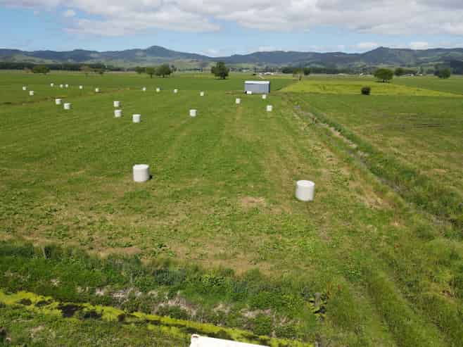 1262 Kaihere Road, Ngatea