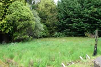 210 Drysdale Road, Myross Bush