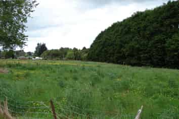 210 Drysdale Road, Myross Bush