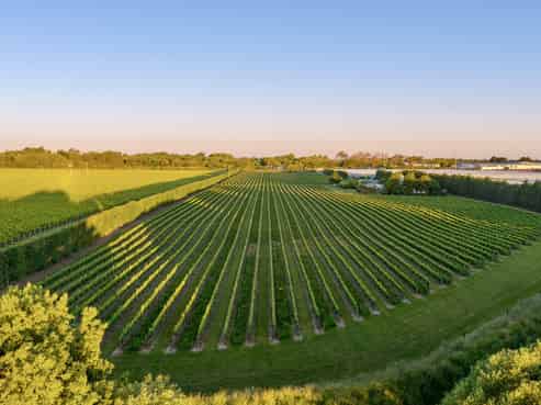 2124 State Highway 1, Spring Creek