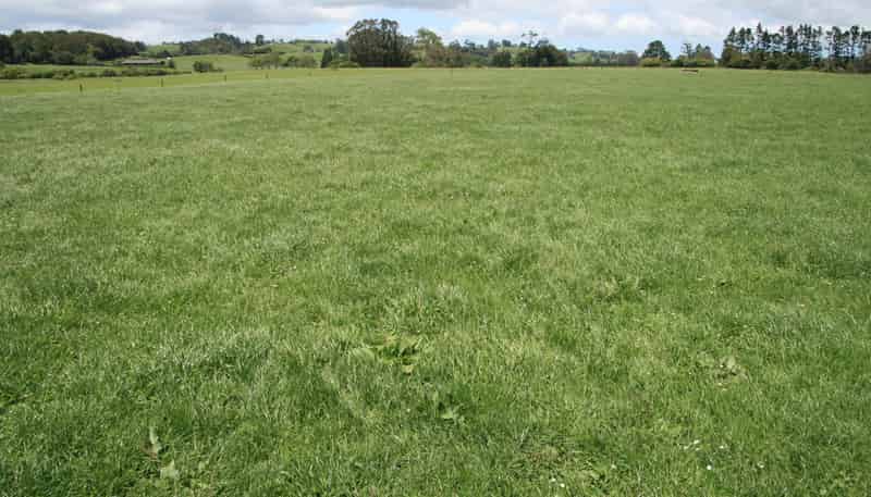 202 Wortley Road, Lepperton