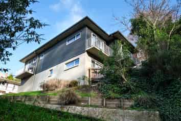 71 Serpentine Avenue, Dunedin Central