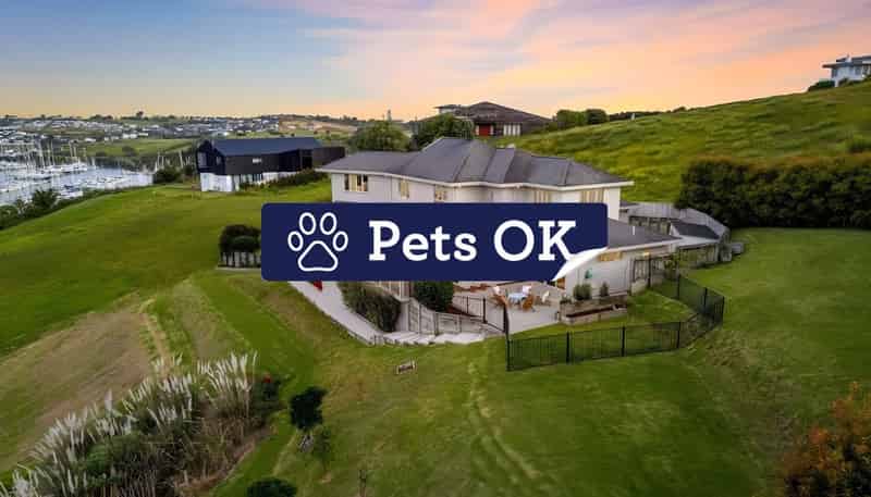 64 Balboa Drive, Gulf Harbour