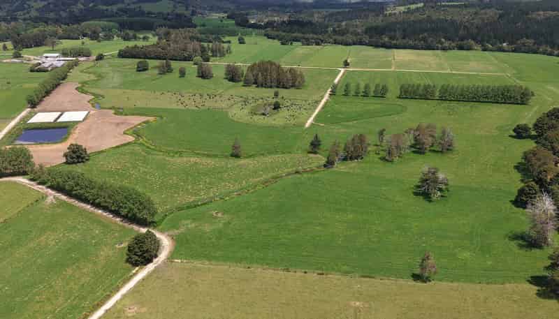 268 Punakitere Road, Kaikohe