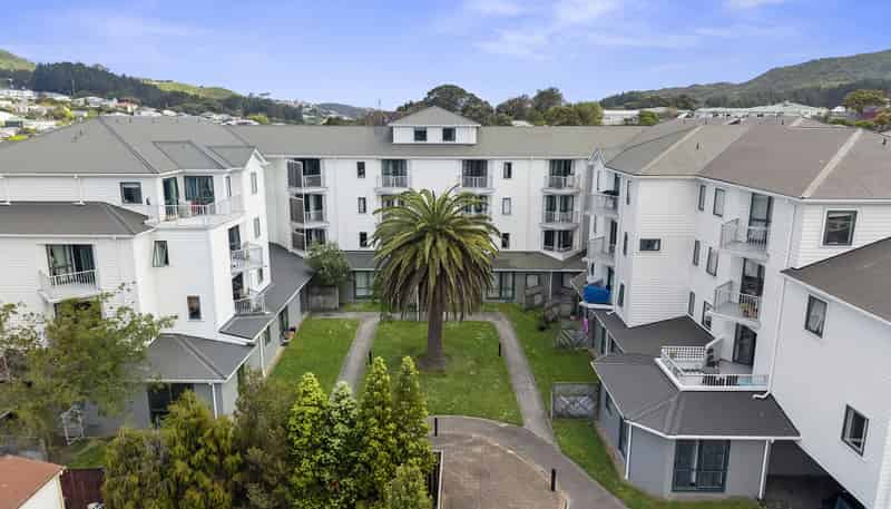 D11/13 Palm Grove, Berhampore