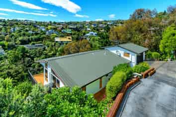 107 Mt Pleasant Road, Mount Pleasant