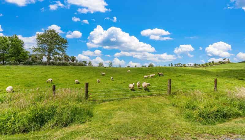 5 and 15 Charis Lane, Wellsford