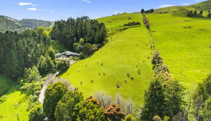 82 Kara Road, Maungatapere