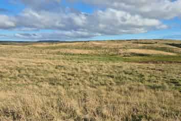 Lot 1-3/546 Waitangi Tuku Road, Chatham Island