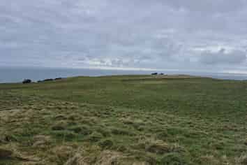 Lot 1-3/546 Waitangi Tuku Road, Chatham Island