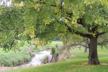  Ruru Downs, Putaruru