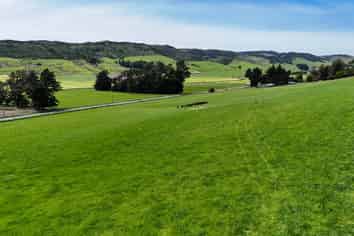 242 Caroline Valley Road, Caroline