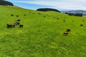 242 Caroline Valley Road, Caroline