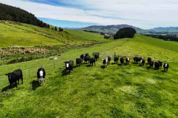 242 Caroline Valley Road, Caroline