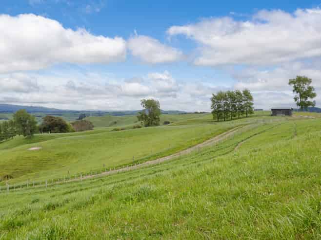 196 Waimanu Road, Pukeatua