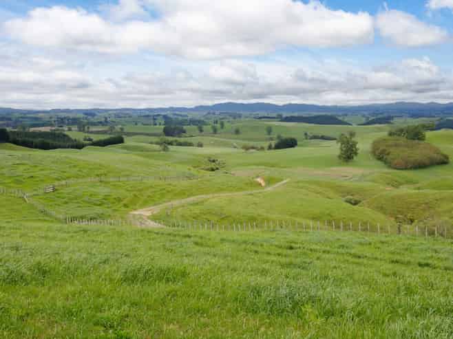 196 Waimanu Road, Pukeatua
