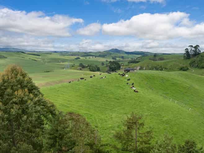 196 Waimanu Road, Pukeatua