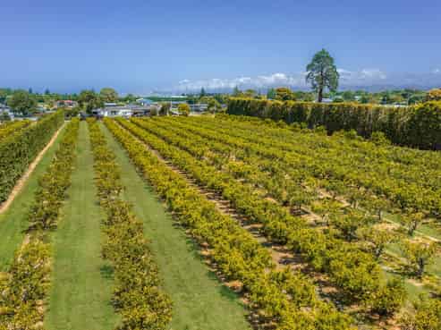  Kiwi Street, Makaraka