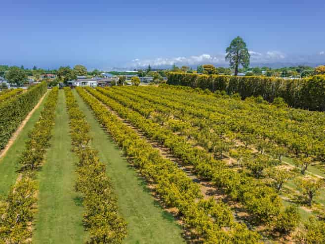  Kiwi Street, Makaraka