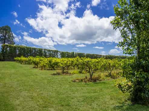  Kiwi Street, Makaraka