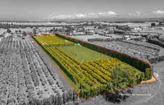  Kiwi Street, Makaraka