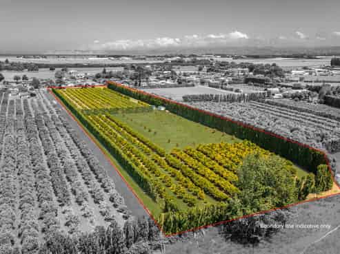  Kiwi Street, Makaraka