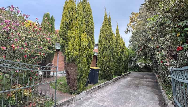 3 Parkstone Avenue, Ilam