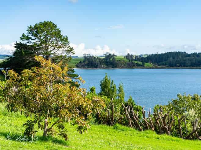 17 Kotare Crescent, Pahi