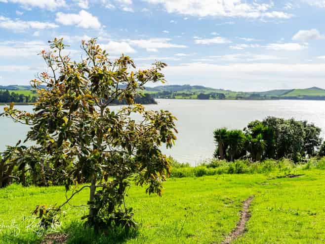 17 Kotare Crescent, Pahi