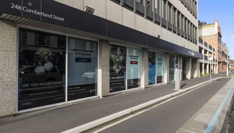 248 Cumberland Street, Dunedin Central