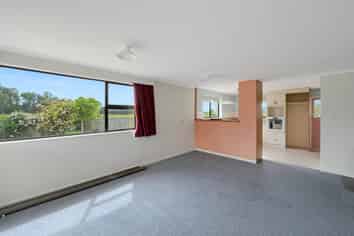 98 Hendersons Rd, Tinwald