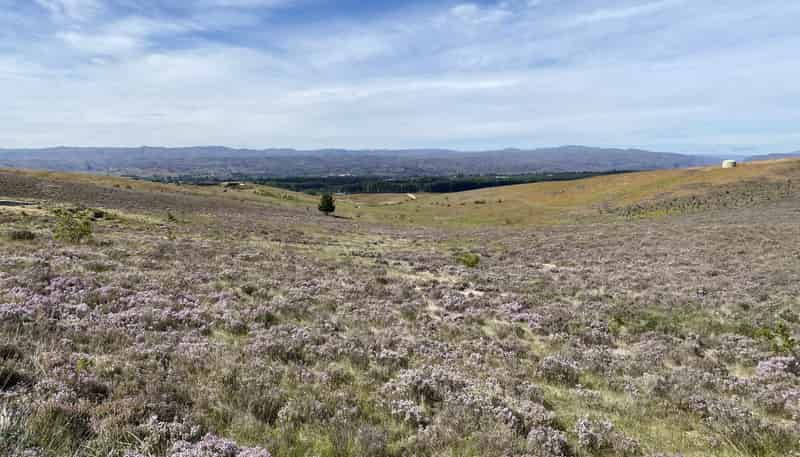 Lot 3,, Sim Lane, Alexandra