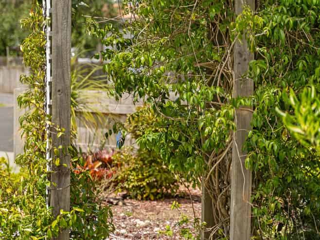 6D Sailrock Drive, Mangawhai Heads