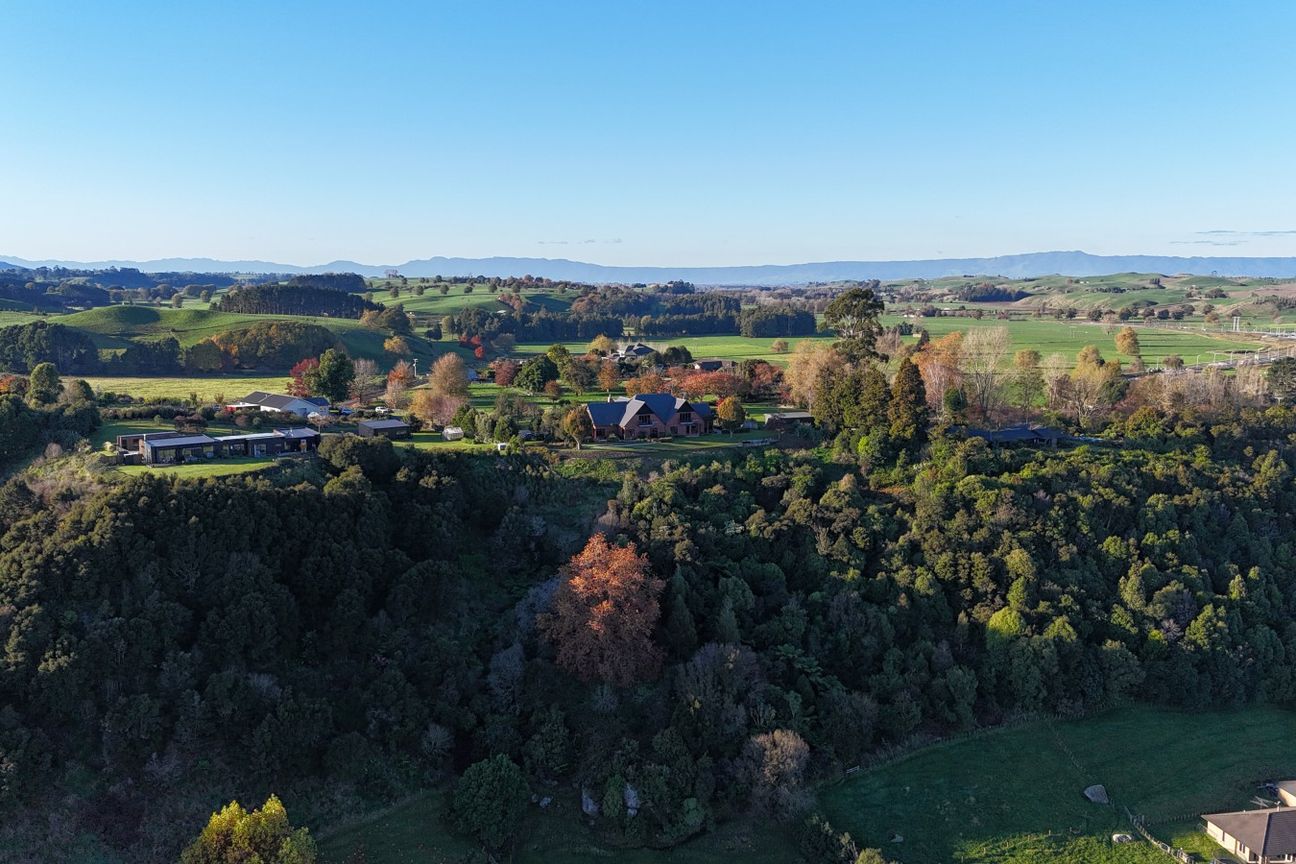Luxury Lake Karapiro English Manor - Widok 5
