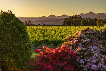 99 Hammond Road, Renwick