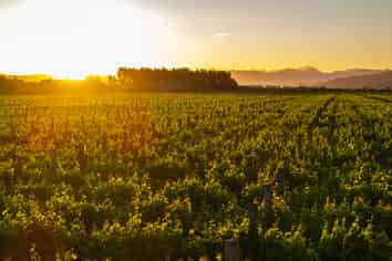 99 Hammond Road, Renwick