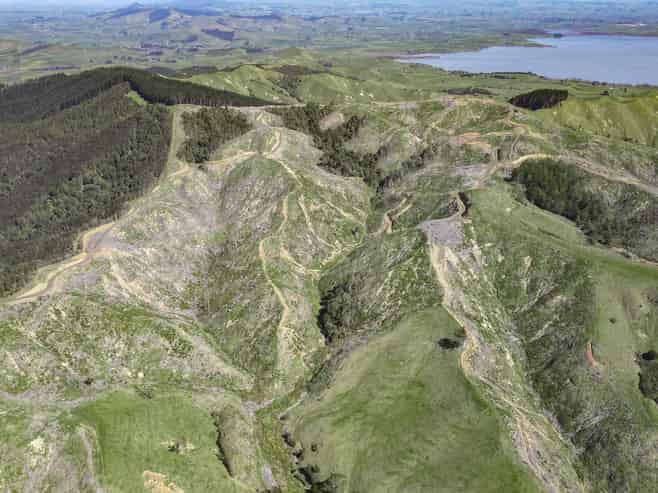 812 Waiterimu Road and Rawson Road, Waerenga