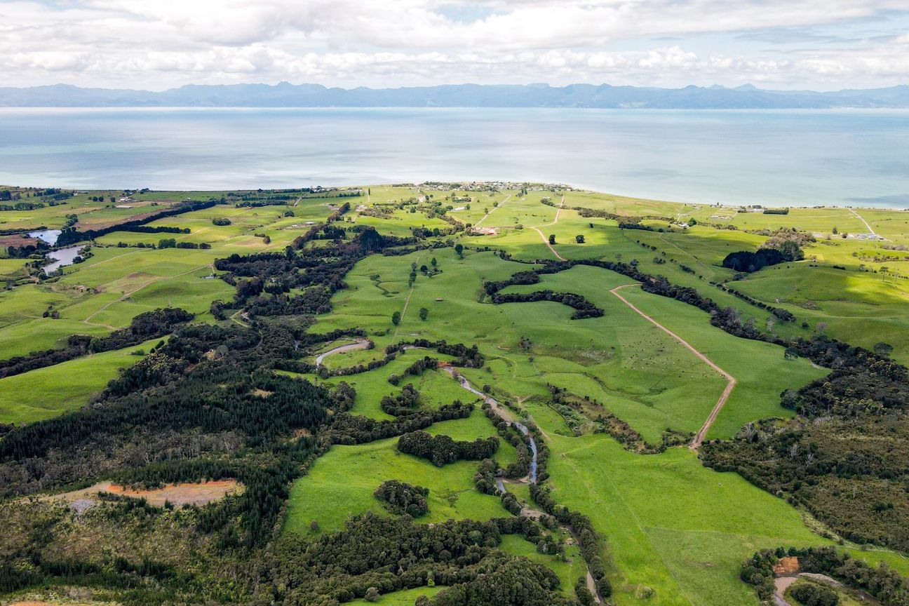 Private and elevated with sea views - Widok 5