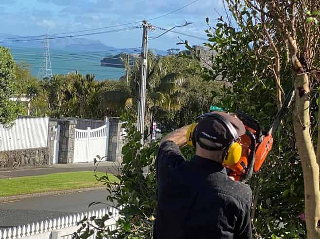 1/76 Arthur Street, Onehunga