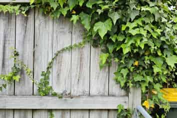 3/100 Royal Road, Massey