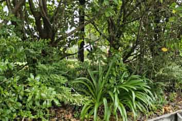 3/100 Royal Road, Massey