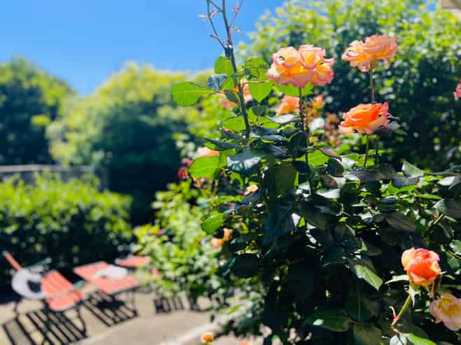 20 Freyberg Crescent, Waikanae Beach