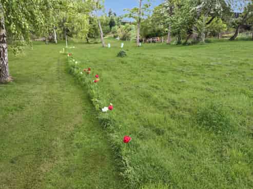 4 Allen Street, Naseby